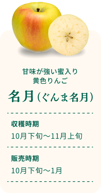 甘味が強い蜜入り黄色りんご 名月（ぐんま名月） 収穫時期10月下旬～11月上旬 販売時期10月下旬～1月